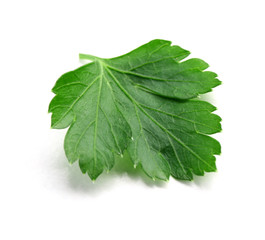 Fresh parsley isolated on white