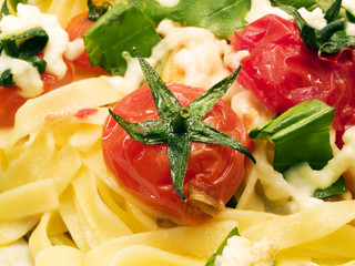 Pasta Collection - Fettucini with tomatoes, basil and mozarella