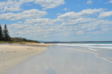 Fototapeta na wymiar A long white sand beach in New South Wales.