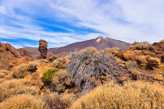 Finger Of God rock at volcano Teide in Tenerife island - Canary