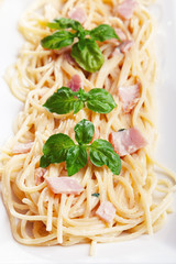 Pasta Collection - Spaghetti carbonara