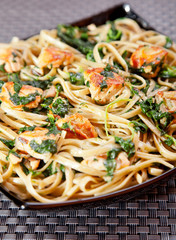 Pasta Collection - Fettuccine with salmon and spinach