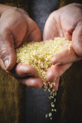 brown rice in old hand