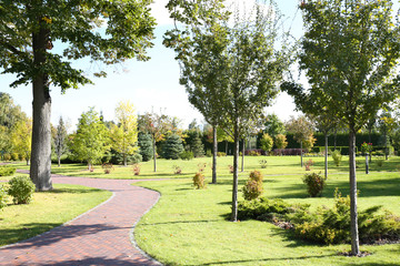 Park in the Summer