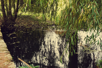 Lake in the autumn park