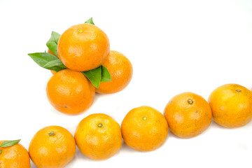 group oranges on white background