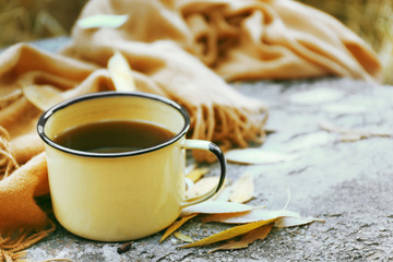 Mug with hot tea on rock in the forest, close up