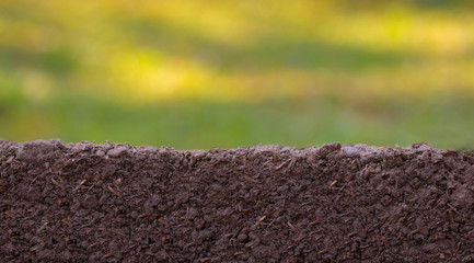 Nature background, pile of soil against green defocused grass with copy space.