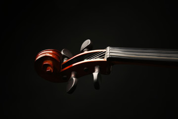 Violin neck on dark background