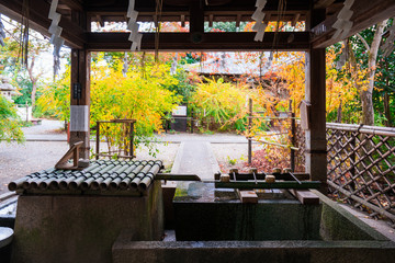 京都　梨木神社　染井の水
