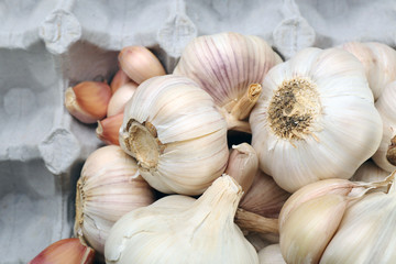 Garlic background