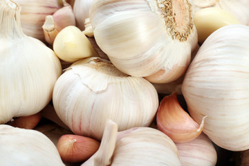 Garlic background