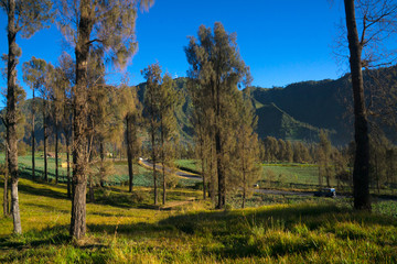 Cemoro Lawang during Sunrise, blue sky with orange and yellow colour