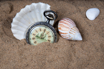 Pocket watch in the sand with seashells