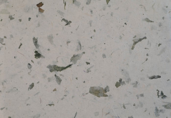 Mulberry paper texture background, Green