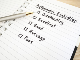 Performance Evaluation check box 3