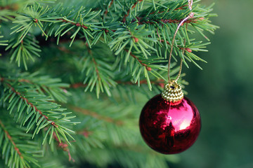 Christmas toy on a tree