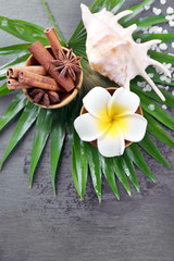 Beautiful spa setting on palm leaf on grey background