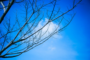 During the fall - Stock Image 