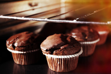 Chocolate cup-cakes in oven, close up