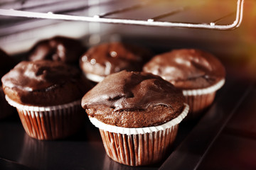 Chocolate cup-cakes in oven, close up