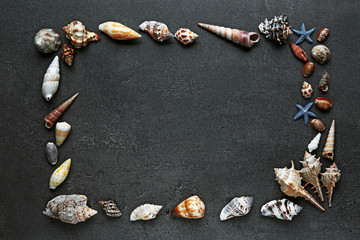 Seashell frame on dark grey background