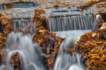 Small waterfall with autumn leaves