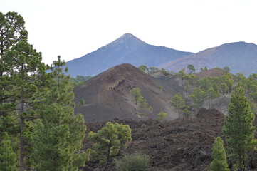 Volcan Teide de Ténérife