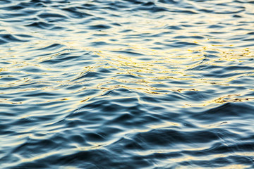 Water Ripple Texture