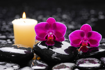 Beautiful red  orchid with yellow candle and therapy stones 