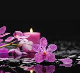 Beautiful pink orchid with candle and therapy stones 