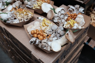 A variety of fresh mushrooms on display