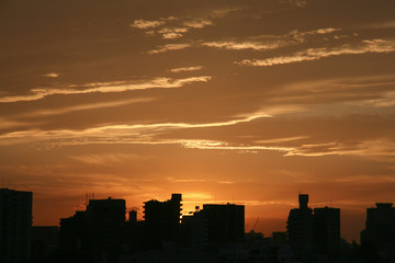 Dramatic scenery of urban sunset  with silhouette
