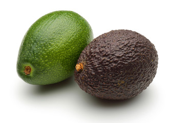 Avocado group