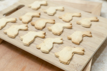 Bunny Rabbit Cookies Homestyle Baking