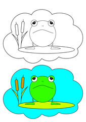 The picture for coloring. Frog.