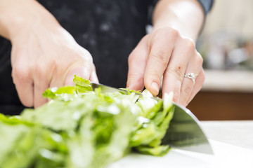 Cutting Lettuce for Salad at Home