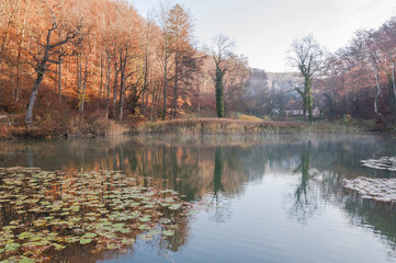 Arlesheim, Dorf, Ermitage, Waldweg, Wald, Ausflugsort, Spazierweg, See, Seerosen, Morgensonne, Winter, Baselland, Schweiz