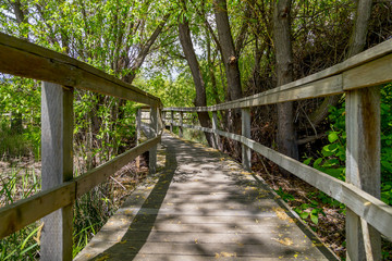 Obraz premium scenic wooden boardwalk