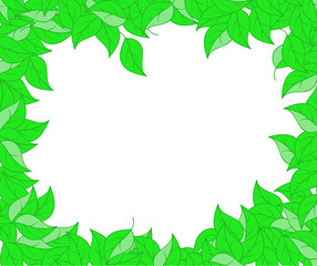 Fototapeta na wymiar Green floral vector frame with leaves