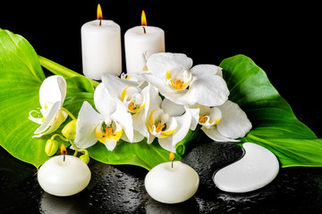 spa concept of orchid flower, phalaenopsis, leaf with dew, candl