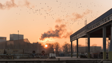 harbor in the evening before sunset