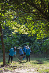 Fototapeta premium people clean fallen down leaves In park