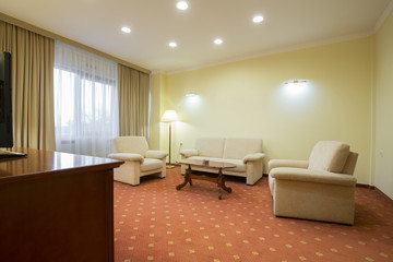 Classic style living room interior