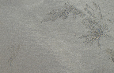 the texture and background sea sand with drawing