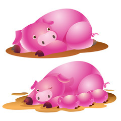 cute pig family