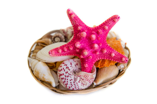 Plate full of seashells isolated on a white background