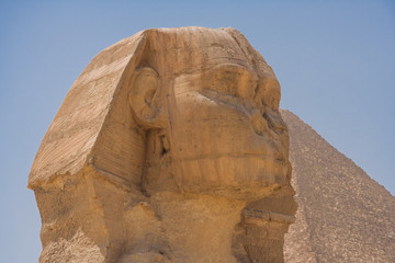 Head of  the great Sphinx.