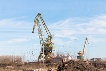 Cranes at the port on the Danube town of Lom, Bulgaria