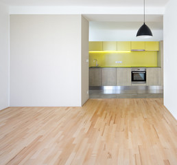 new design empty flat with new kitchen